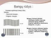 Projektas apie mechanines bangas 6 puslapis