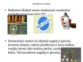 Ozonas bei ozono sluoksnis 10 puslapis