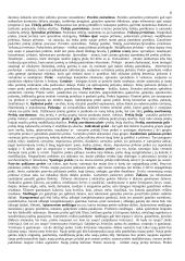 Marketingo sprendimai 6 puslapis