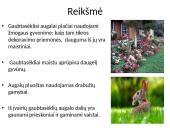 Viskas apie gaubtasėklius 11 puslapis