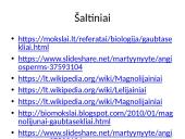 Viskas apie gaubtasėklius 12 puslapis