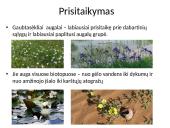 Viskas apie gaubtasėklius 8 puslapis