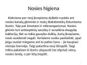 Oro tarša ir teršalai 17 puslapis