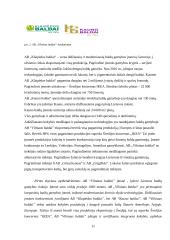 AB „Vilniaus baldai“ veiklos ekonominis vertinimas 9 puslapis