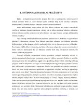 Kyšis ir kyšininkavimas 4 puslapis