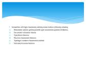 Beasmeniai sakiniai lietuvių kalboje 4 puslapis