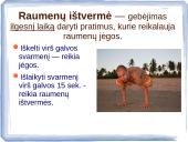 Kas yra fizinis pajėgumas?  18 puslapis