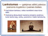 Kas yra fizinis pajėgumas?  19 puslapis