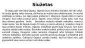 Mano įdomiausia vasarą skaityta knyga 4 puslapis