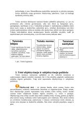 Teisės samprata ir svarbiausi teisės požymiai 3 puslapis