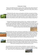 Azijos gamtos įvairovė 4 puslapis