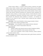 Lietuvos Respublikos sveikatos apsaugos ministerijos vykdomos programos „Sveikatos sistemos valdymas“ įgyvendinimo analizė 4 puslapis