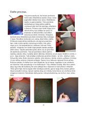 Dailės kūrybinio darbo aprašas  11 puslapis