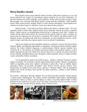 Dailės kūrybinio darbo aprašas  5 puslapis