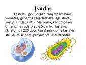 Įvairių ląstelių ir jų organelių tyrimas 2 puslapis
