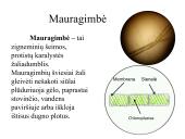Įvairių ląstelių ir jų organelių tyrimas 12 puslapis