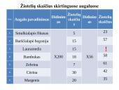 Įvairių ląstelių ir jų organelių tyrimas 15 puslapis