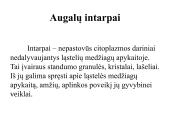 Įvairių ląstelių ir jų organelių tyrimas 18 puslapis