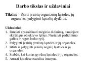 Įvairių ląstelių ir jų organelių tyrimas 4 puslapis