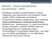 Sociologijos mokslo raida 17 puslapis