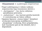 Sociologijos mokslo raida 7 puslapis