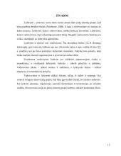 Pagrindiniai skirtumai tarp lyderiavimo ir vadovavimo 10 puslapis