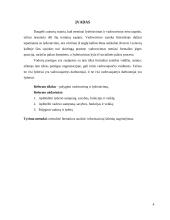 Pagrindiniai skirtumai tarp lyderiavimo ir vadovavimo 3 puslapis