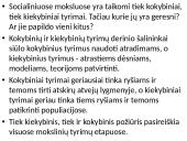  Sociologija - kokybiniai bei kiekybiniai tyrimai 12 puslapis