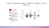 Verslo analitika  4 puslapis
