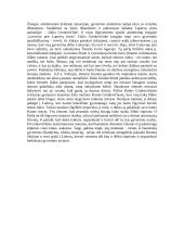 Asmens ir jo vertybių išbandymas ribinėje situacijoje 3 puslapis