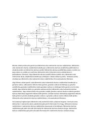 Informaciju sistemos 13 puslapis