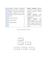 Informaciju sistemos 6 puslapis