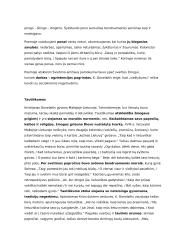 Literatūros epochų aprašymai 11 puslapis