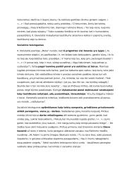 Literatūros epochų aprašymai 12 puslapis
