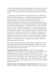Literatūros epochų aprašymai 14 puslapis