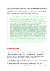 Literatūros epochų aprašymai 16 puslapis