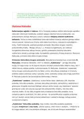Literatūros epochų aprašymai 3 puslapis