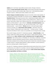 Literatūros epochų aprašymai 8 puslapis