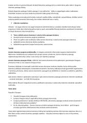  Saugus ir teisėtas informacijos ir interneto naudojimas 2 puslapis