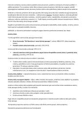  Saugus ir teisėtas informacijos ir interneto naudojimas 3 puslapis