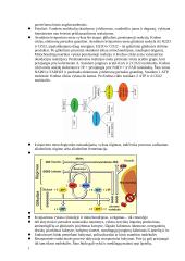 Biologijos teorija egzaminui 3 puslapis