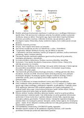 Biologijos teorija egzaminui 4 puslapis