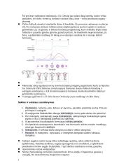 Biologijos teorija egzaminui 6 puslapis