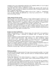 Plokštumos ir tiesės erdvėje 4 puslapis