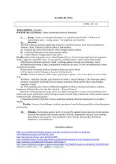 Gamtos vaizdavimas lietuvių literatūroje (Baranauskas, Donelaitis, Radvanas) 3 puslapis