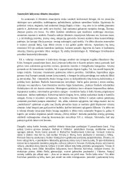 Asmenybės laikysena ribinėse situacijose (B. Krivickas, B. Sruoga, D. Grinkevičiūtė) 2 puslapis