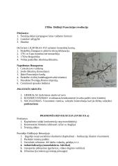 Istorijos teorija pasiruošti egzaminui 4 puslapis