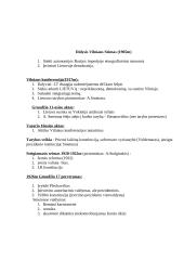 Istorijos teorija pasiruošti egzaminui 6 puslapis