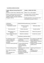 Istorijos teorija pasiruošti egzaminui 7 puslapis