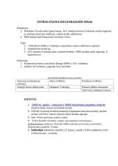 Istorijos teorija pasiruošti egzaminui 10 puslapis